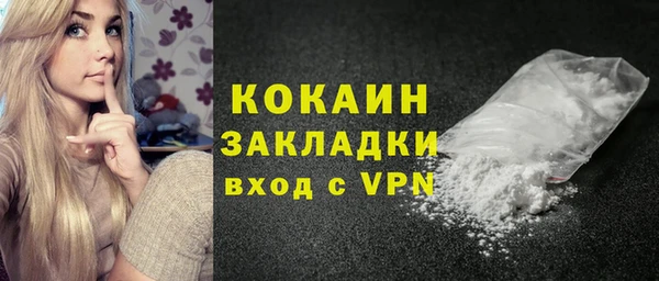 твердый Алексин