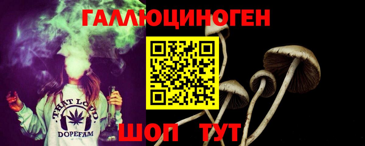 Кызыл  Галлюциногенные грибы GOLDEN TEACHER  Вход с VPN  Псилоцибиновые грибы ЛСД 